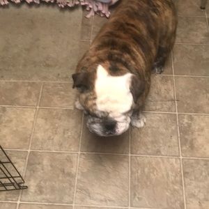 Meet your Posher, Eddie